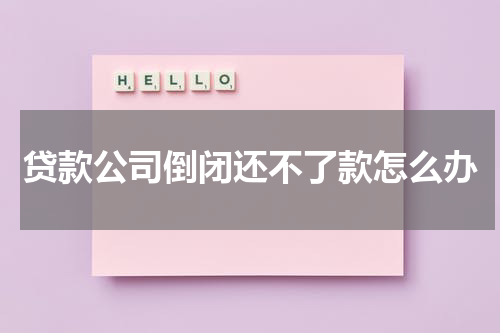 贷款公司倒闭还不了款怎么办