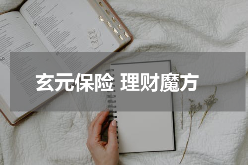 玄元保险 理财魔方
