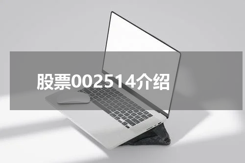 股票002514介绍