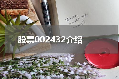 股票002432介绍