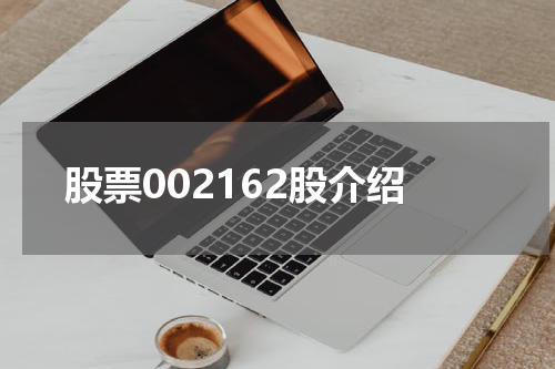股票002162股介绍