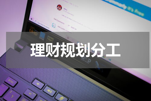 理财规划分工