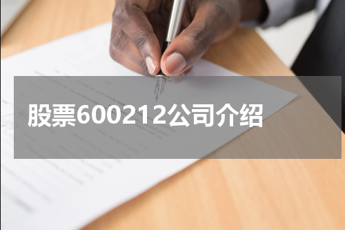 股票600212公司介绍