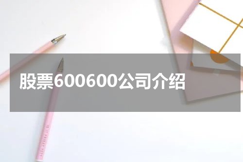 股票600600公司介绍