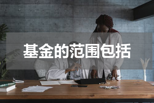 基金的范围包括
