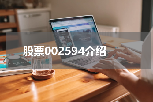 股票002594介绍