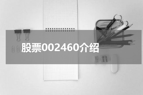 股票002460介绍