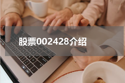 股票002428介绍