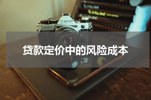 贷款定价中的风险成本
