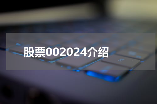 股票002024介绍
