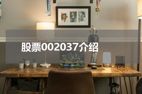 股票002037介绍