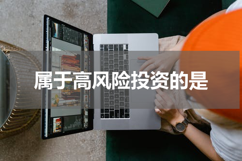 属于高风险投资的是