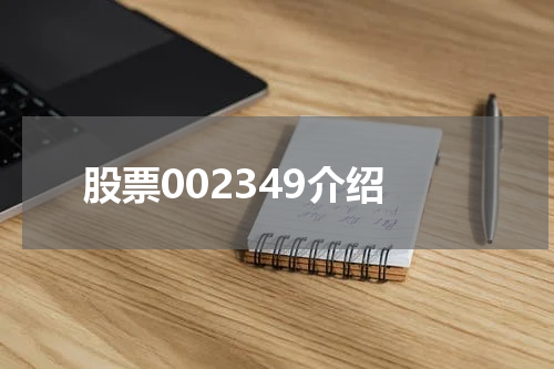 股票002349介绍