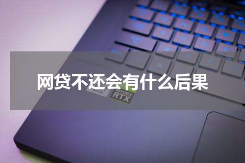 网贷不还会有什么后果
