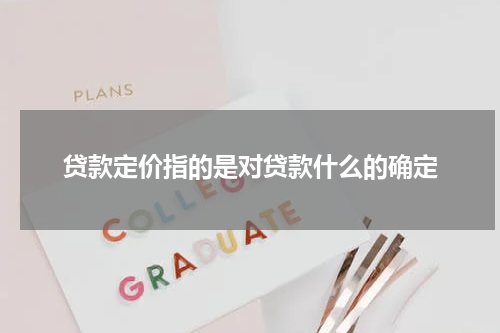 贷款定价指的是对贷款什么的确定
