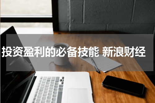 投资盈利的必备技能 新浪财经