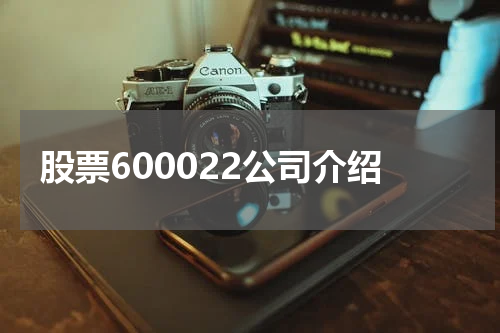 股票600022公司介绍