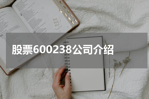 股票600238公司介绍