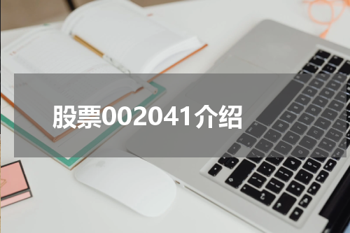 股票002041介绍