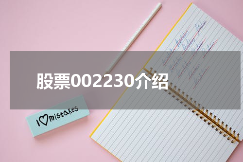 股票002230介绍