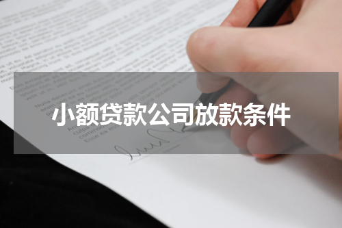小额贷款公司放款条件