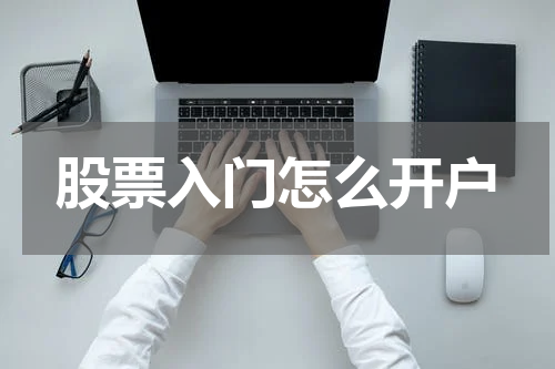 股票入门怎么开户
