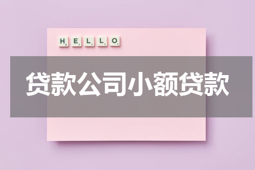 贷款公司小额贷款