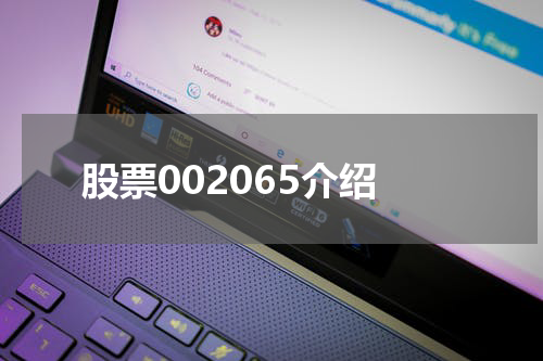 股票002065介绍