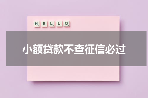 小额贷款不查征信必过