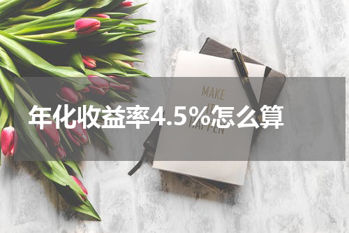 年化收益率4.5%怎么算
