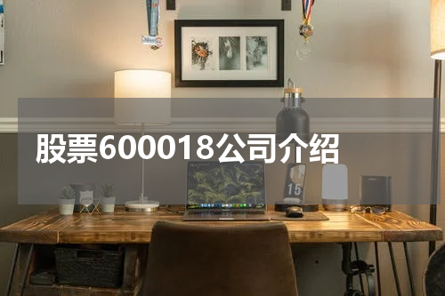 股票600018公司介绍