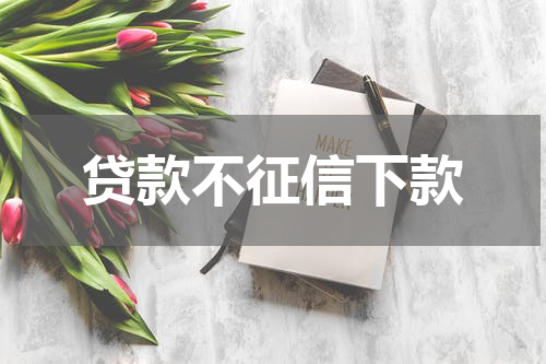 贷款不征信下款