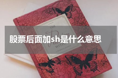 股票后面加sh是什么意思
