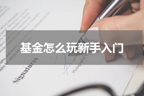 基金怎么玩新手入门