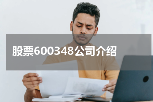 股票600348公司介绍