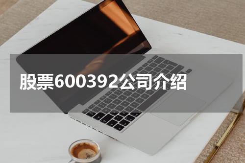 股票600392公司介绍