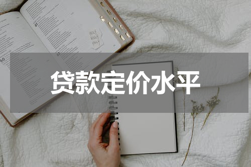 贷款定价水平