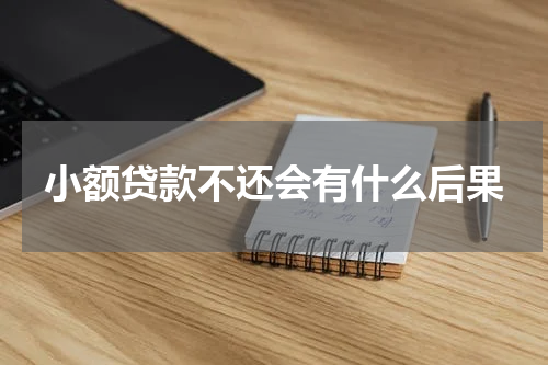 小额贷款不还会有什么后果