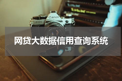 网贷大数据信用查询系统