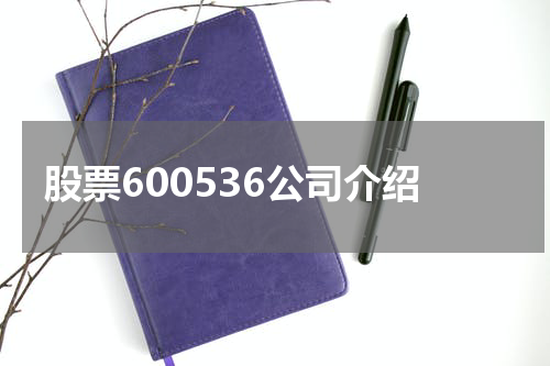 股票600536公司介绍