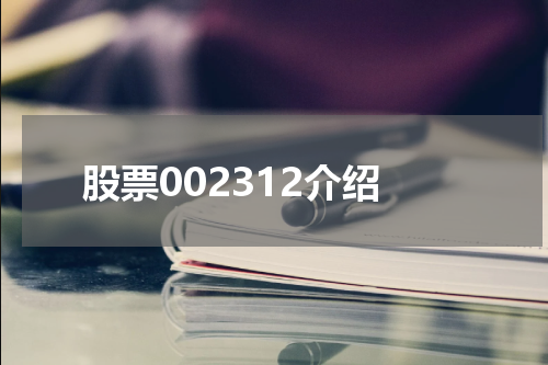 股票002312介绍