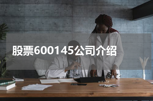 股票600145公司介绍