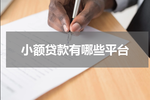 小额贷款有哪些平台