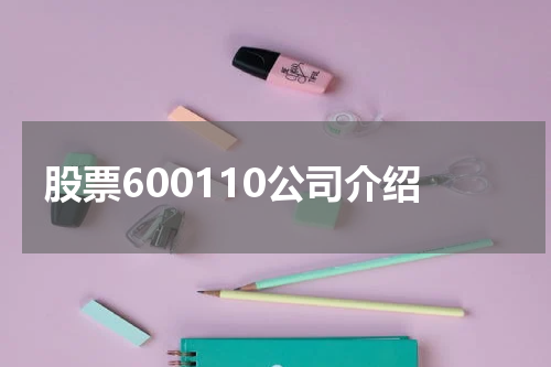 股票600110公司介绍
