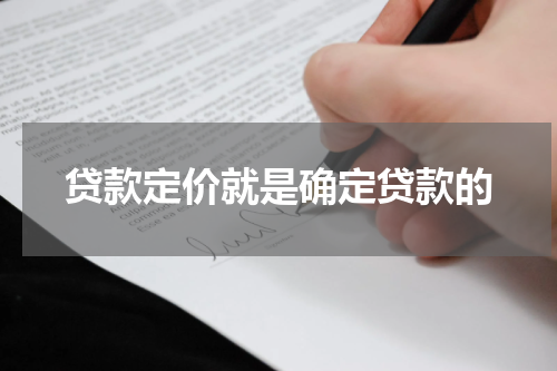 贷款定价就是确定贷款的