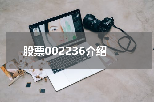 股票002236介绍