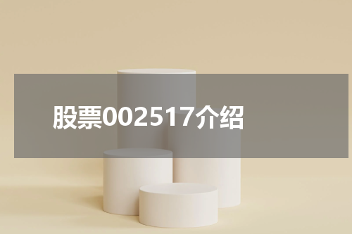 股票002517介绍