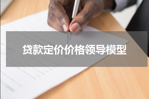 贷款定价价格领导模型