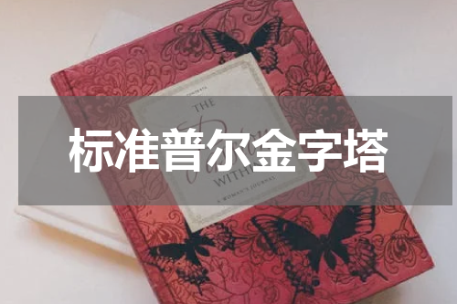 标准普尔金字塔