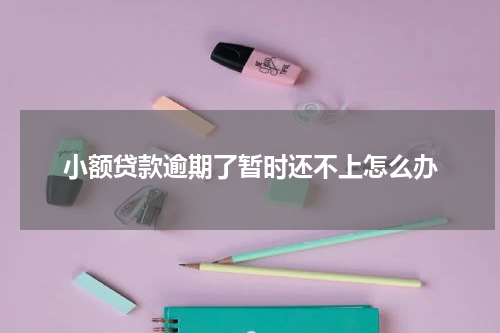 小额贷款逾期了暂时还不上怎么办